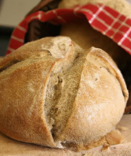 No Yeast Beer Bread